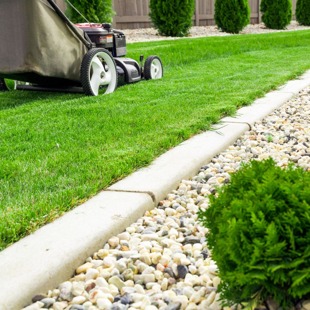 lawn care maintenance